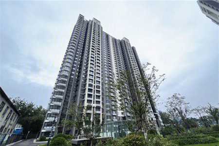 东方明珠复式楼4室3厅2卫送车库45万